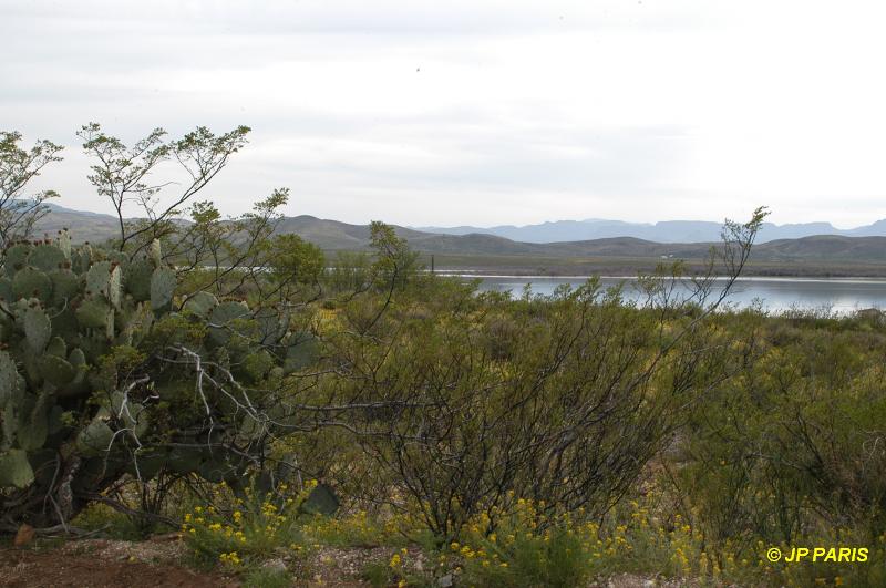 Lac Balmorhea